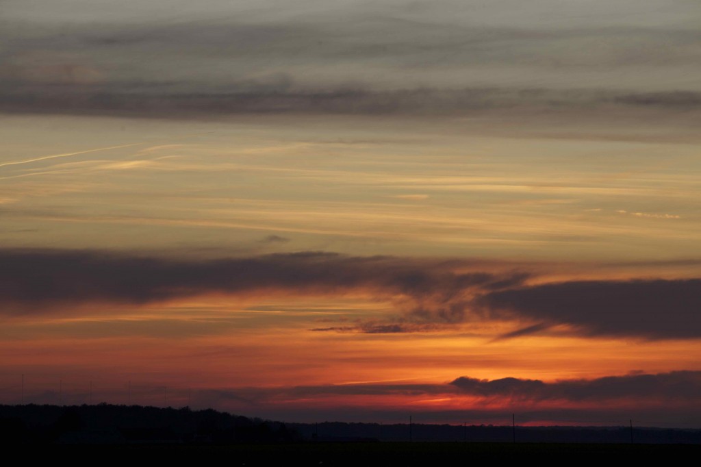 Aubrac