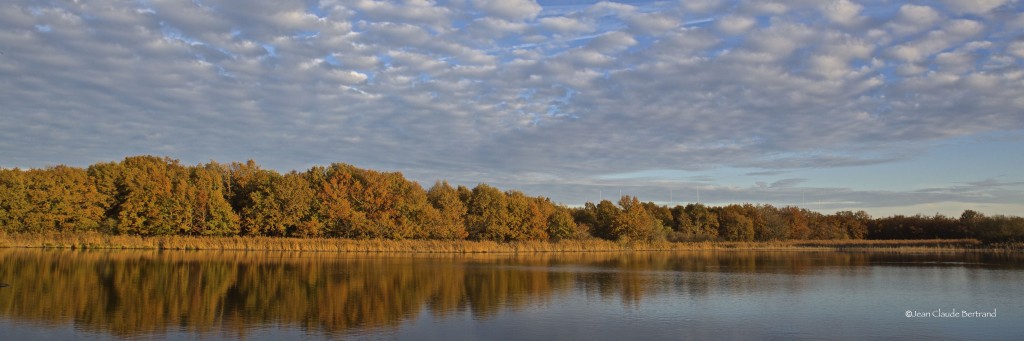 Etang de Montiacre