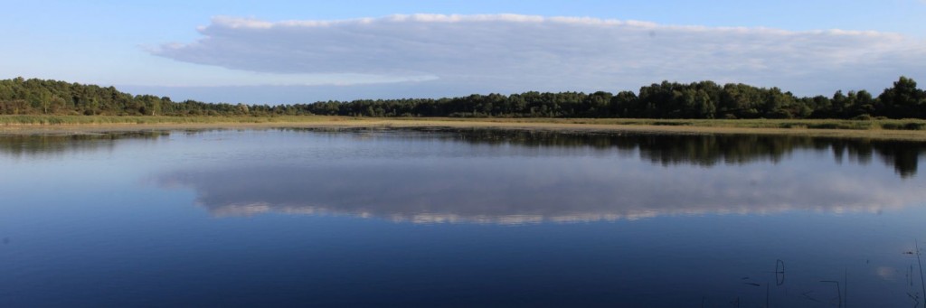 Brenne,etang de Oince
