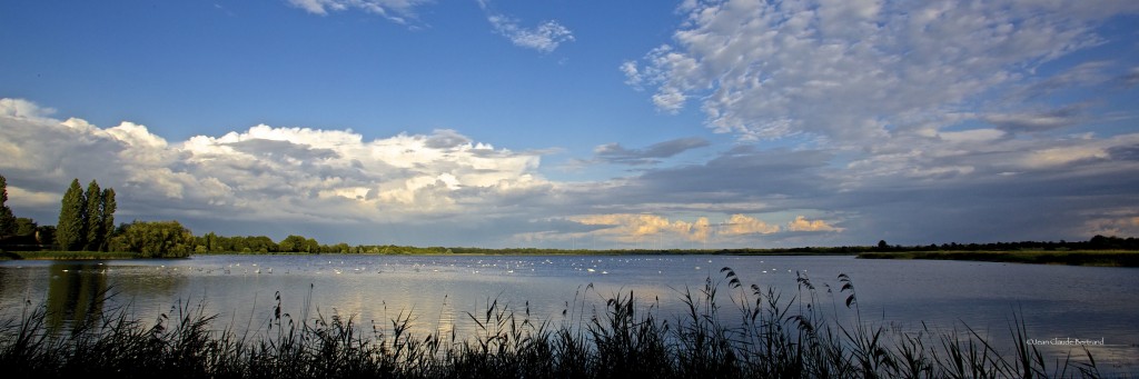 Etang de la Gabrière
