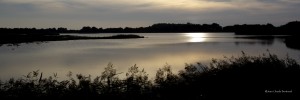 Etang de Piégu